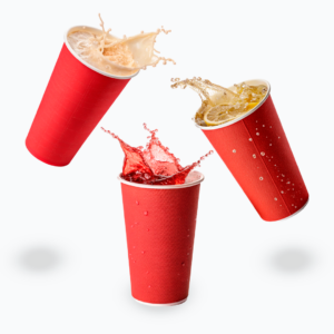 Agua de Sabor 500 ml